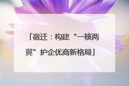 宿迁：构建“一核两翼”护企优商新格局