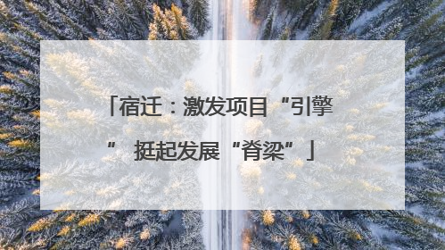 宿迁：激发项目“引擎” 挺起发展“脊梁”