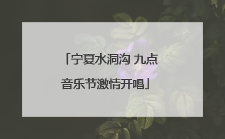宁夏水洞沟 九点音乐节激情开唱