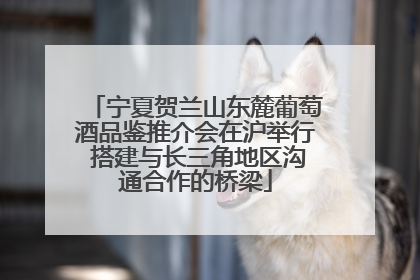 宁夏贺兰山东麓葡萄酒品鉴推介会在沪举行 搭建与长三角地区沟通合作的桥梁