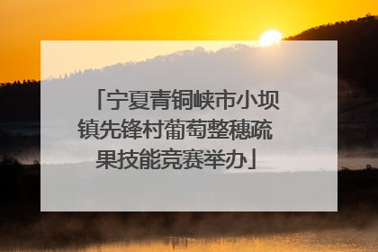 宁夏青铜峡市小坝镇先锋村葡萄整穗疏果技能竞赛举办