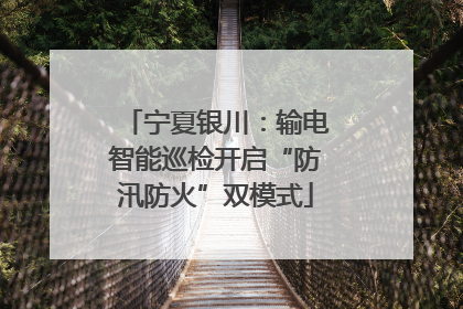 宁夏银川：输电智能巡检开启“防汛防火”双模式