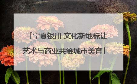 宁夏银川 文化新地标让艺术与商业共绘城市美育