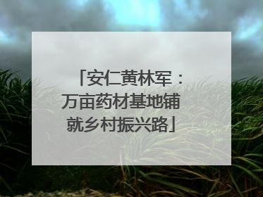 安仁黄林军：万亩药材基地铺就乡村振兴路