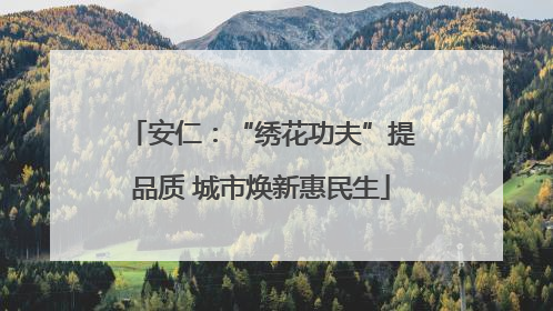 安仁：“绣花功夫”提品质 城市焕新惠民生