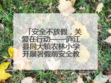 安全不放假，关爱在行动——庐江县同大镇农林小学开展暑假前安全教育大家访