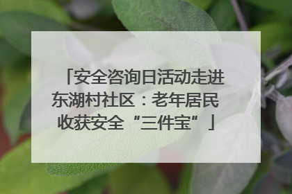 安全咨询日活动走进东湖村社区：老年居民收获安全“三件宝”