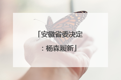 安徽省委决定：杨森履新