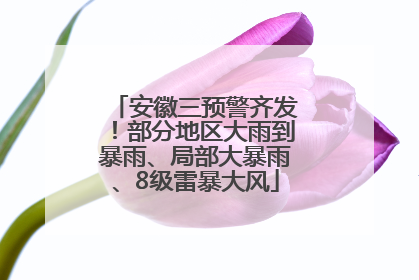 安徽三预警齐发！部分地区大雨到暴雨、局部大暴雨、8级雷暴大风