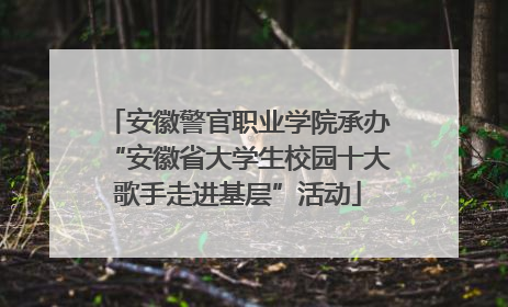 安徽警官职业学院承办“安徽省大学生校园十大歌手走进基层”活动