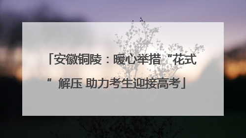 安徽铜陵：暖心举措“花式”解压 助力考生迎接高考
