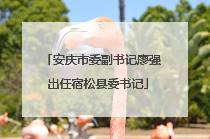 安庆市委副书记廖强出任宿松县委书记