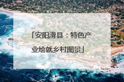 安阳滑县：特色产业绘就乡村图景