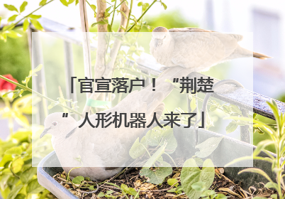 官宣落户！“荆楚”人形机器人来了