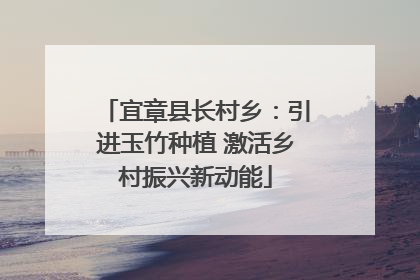 宜章县长村乡：引进玉竹种植 激活乡村振兴新动能