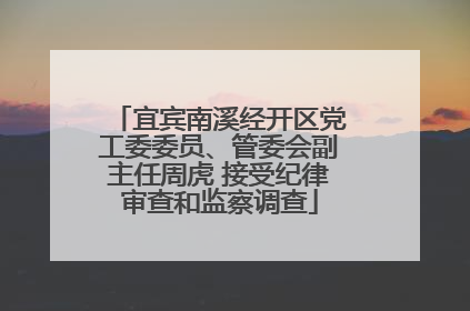 宜宾南溪经开区党工委委员、管委会副主任周虎 接受纪律审查和监察调查