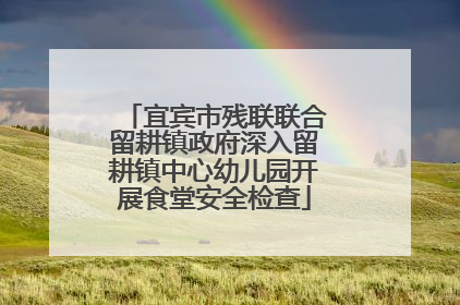 宜宾市残联联合留耕镇政府深入留耕镇中心幼儿园开展食堂安全检查