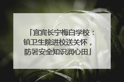 宜宾长宁梅白学校：镇卫生院进校送关怀，防暑安全知识润心田