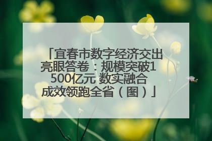 宜春市数字经济交出亮眼答卷：规模突破1500亿元 数实融合成效领跑全省（图）
