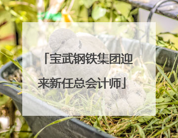 宝武钢铁集团迎来新任总会计师