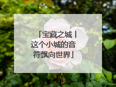 宝藏之城丨这个小城的音符飘向世界