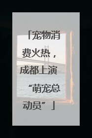 宠物消费火热，成都上演“萌宠总动员”