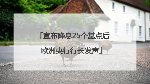 宣布降息25个基点后 欧洲央行行长发声