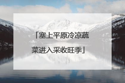 塞上平原冷凉蔬菜进入采收旺季