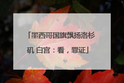 墨西哥国旗飘扬洛杉矶 白宫：看，罪证