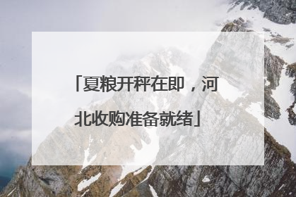 夏粮开秤在即，河北收购准备就绪