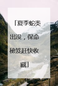 夏季蛇类出没，保命秘笈赶快收藏