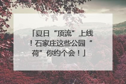 夏日“顶流”上线！石家庄这些公园“荷”你约个会！