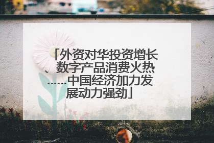 外资对华投资增长、数字产品消费火热……中国经济加力发展动力强劲