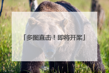 多图直击！即将开桨