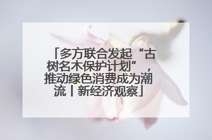 多方联合发起“古树名木保护计划”，推动绿色消费成为潮流丨新经济观察