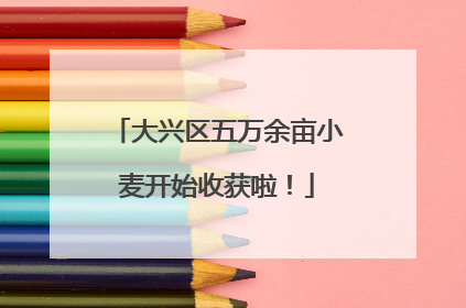 大兴区五万余亩小麦开始收获啦！