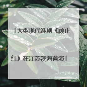 大型现代淮剧《顾正红》在江苏滨海首演