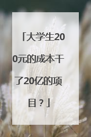大学生200元的成本干了20亿的项目？