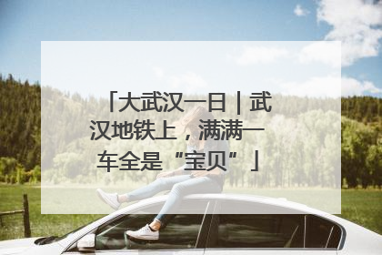 大武汉一日｜武汉地铁上，满满一车全是“宝贝”