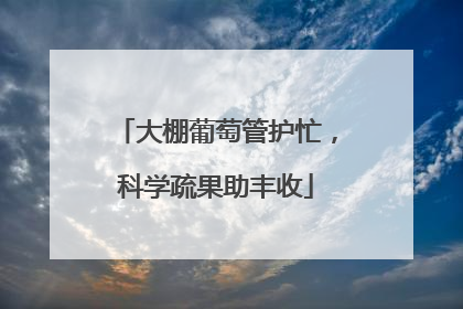 大棚葡萄管护忙，科学疏果助丰收