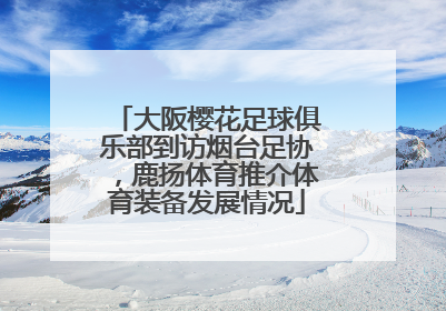 大阪樱花足球俱乐部到访烟台足协，鹿扬体育推介体育装备发展情况