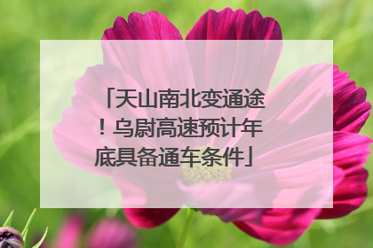 天山南北变通途！乌尉高速预计年底具备通车条件