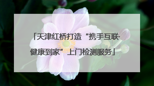 天津红桥打造“携手互联·健康到家”上门检测服务