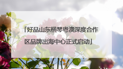 好品山东横琴粤澳深度合作区品牌出海中心正式启动