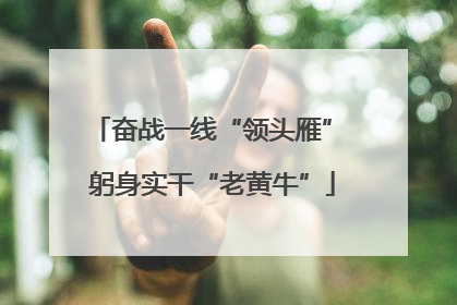 奋战一线“领头雁” 躬身实干“老黄牛”