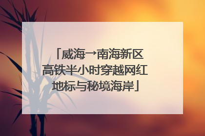 威海→南海新区 高铁半小时穿越网红地标与秘境海岸