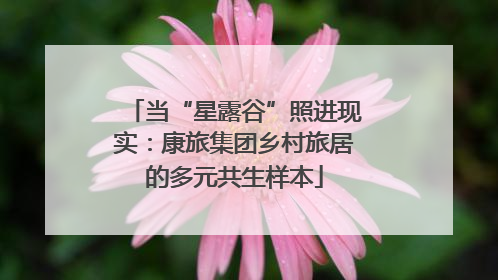 当“星露谷”照进现实：康旅集团乡村旅居的多元共生样本