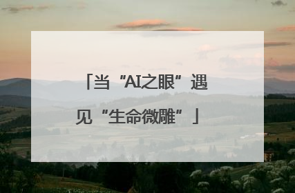 当“AI之眼”遇见“生命微雕”