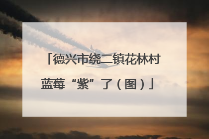 德兴市绕二镇花林村蓝莓“紫”了（图）