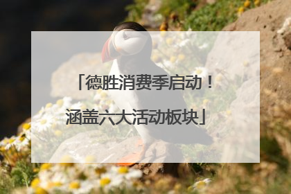 德胜消费季启动！涵盖六大活动板块